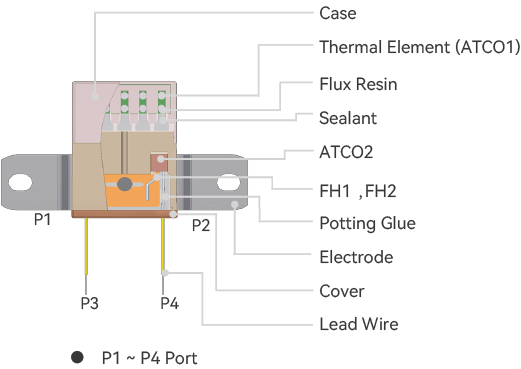 THU structure-.png