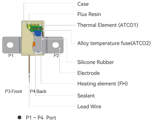 TKT structure-.png